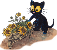Little black cat Georgie with Flowers